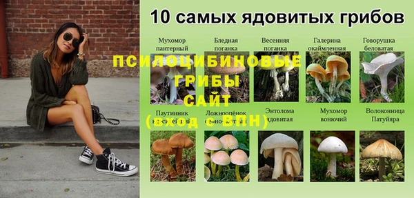 MESCALINE Алзамай