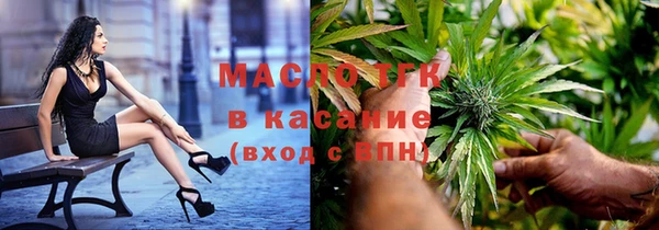гашик Арсеньев