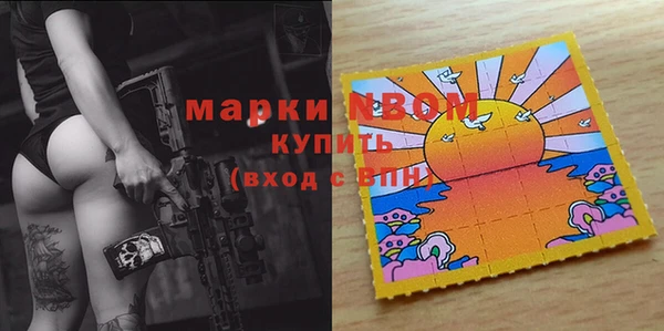 гашик Арсеньев