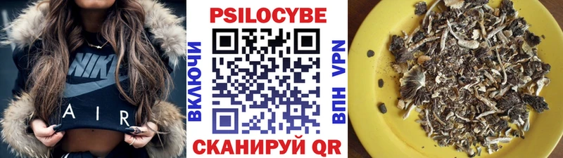 Псилоцибиновые грибы мухоморы  darknet наркотические препараты  Кологрив 